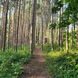 Retzer Nature Center