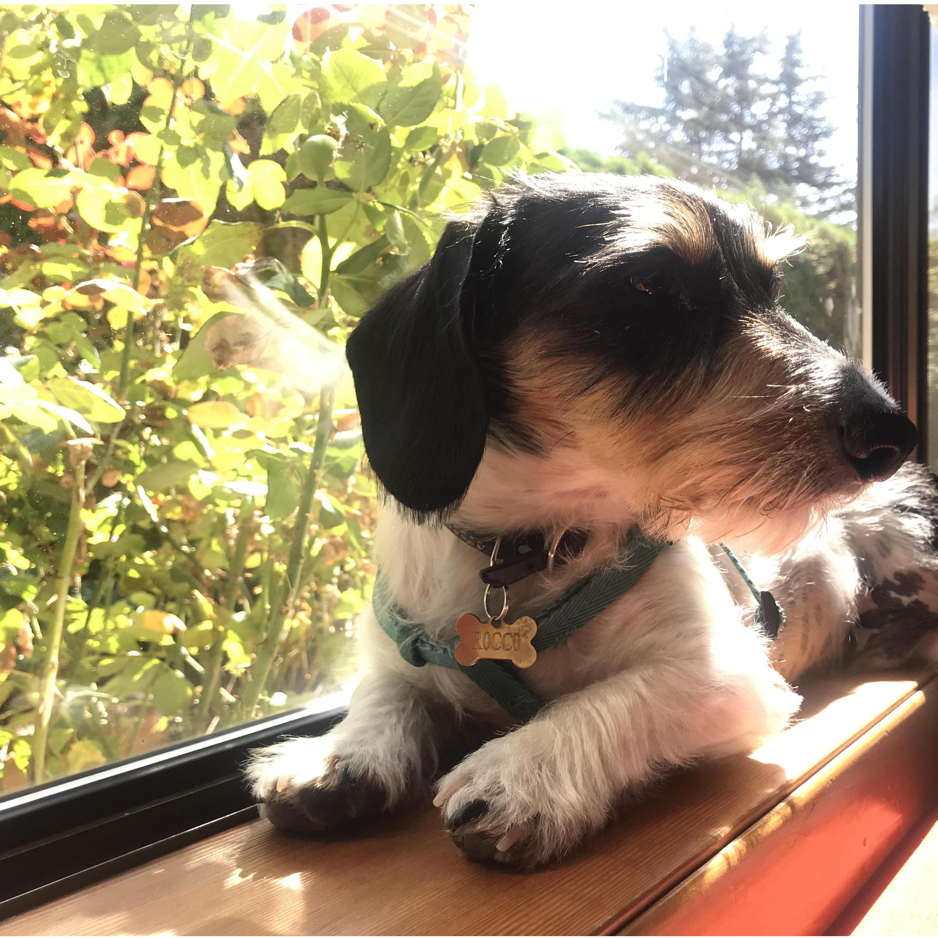Our beautiful boy.
