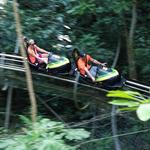 Mystic Mountain, Rainforest Adventures