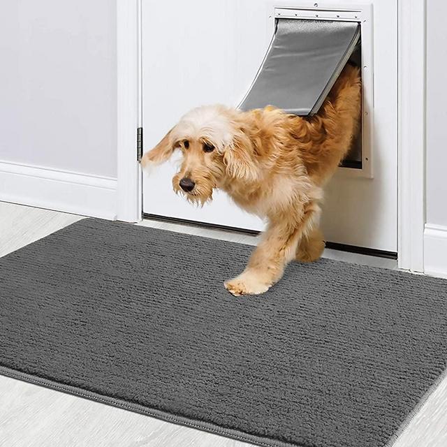 Delxo Indoor Durable Chenille Door mat 17X30 Extra Soft and Absorben