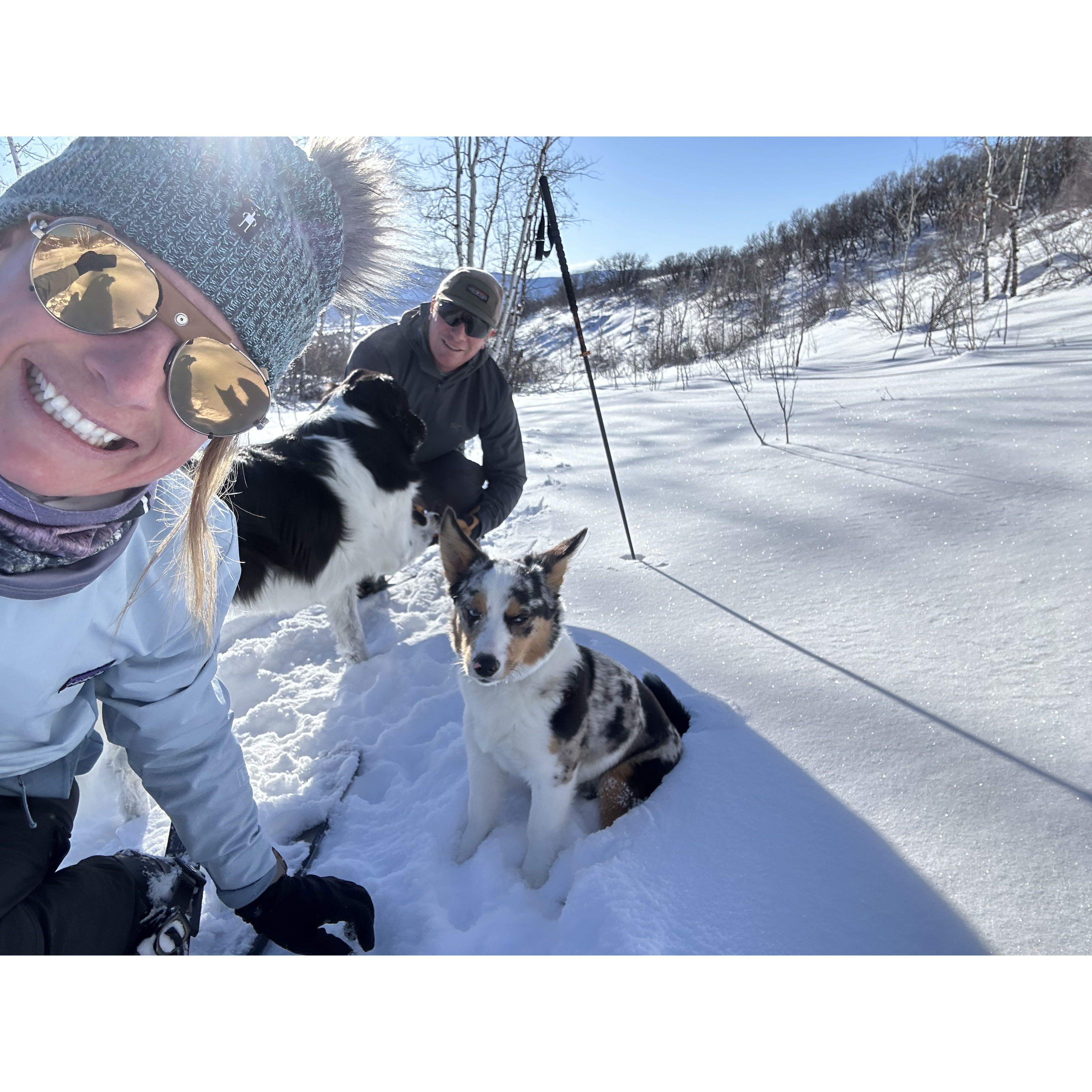 Morning ski with the two doggies.