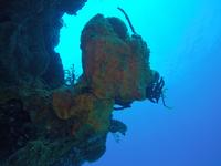 Eden Rock Diving Center Ltd