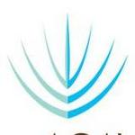 Blue Agave Grill