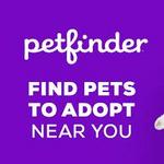 Petfinder