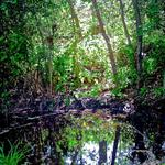 El Dorado Nature Center