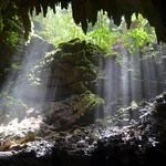 Río Camuy Cave Park