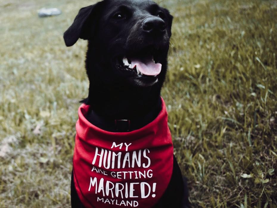 The Wedding Website of Kelsey Myers and Alex Mayland
