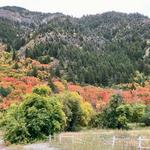 Logan Canyon