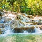 The World Famous Dunn's River Falls & Park