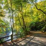 Wissahickon Valley Park