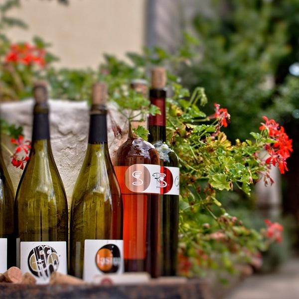 Ante Sladić Vino Tasting