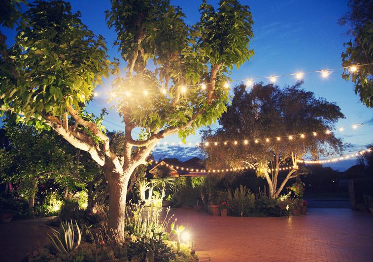 The Wedding Website of Dane Potter and Wenny Lee