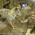 Prairie Park Nature Center