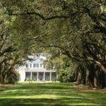 Charles Towne Landing State Historic Site