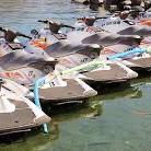 Jet skis ahoy