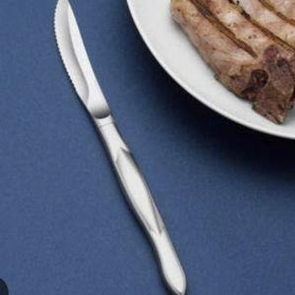 Stainless Steel Table Knife