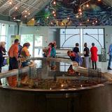 Huntsman Marine Science Centre | Fundy Discovery Aquarium