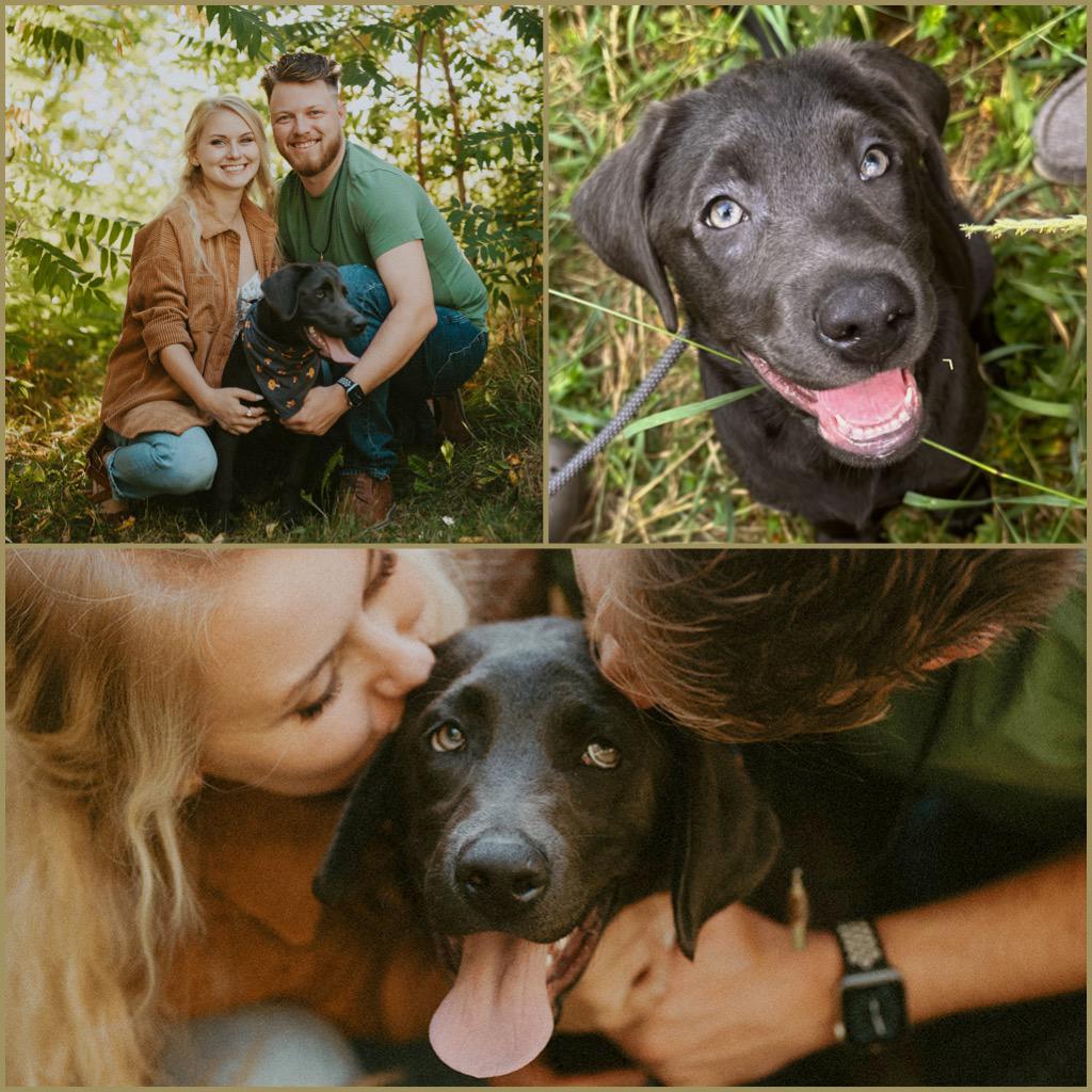 Added our sweet Sage girl to the family