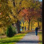 Three Rivers Park District