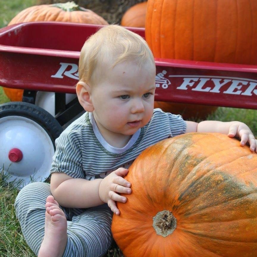 One of our favorite family outings is our annual trip to the pumpkin farm!