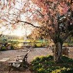 Croteaux Vineyards