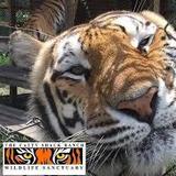 The Catty Shack Ranch Wildlife Sanctuary