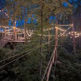 Treescape Aerial Adventure Park