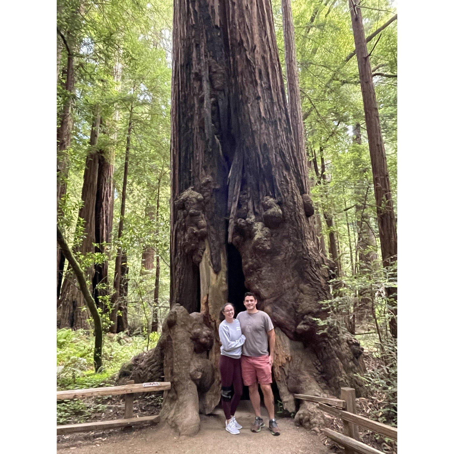 Muir Woods, California