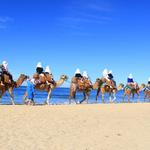 Camel Rides on the Beach