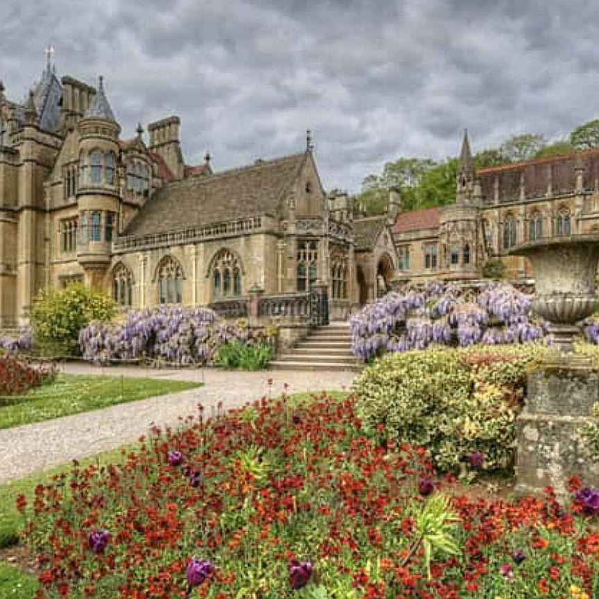 The grounds of Maple Grove are the most lovely I have ever encountered. Mr. E and I have romped over these grounds with my brother and sister on many a wonderful day.