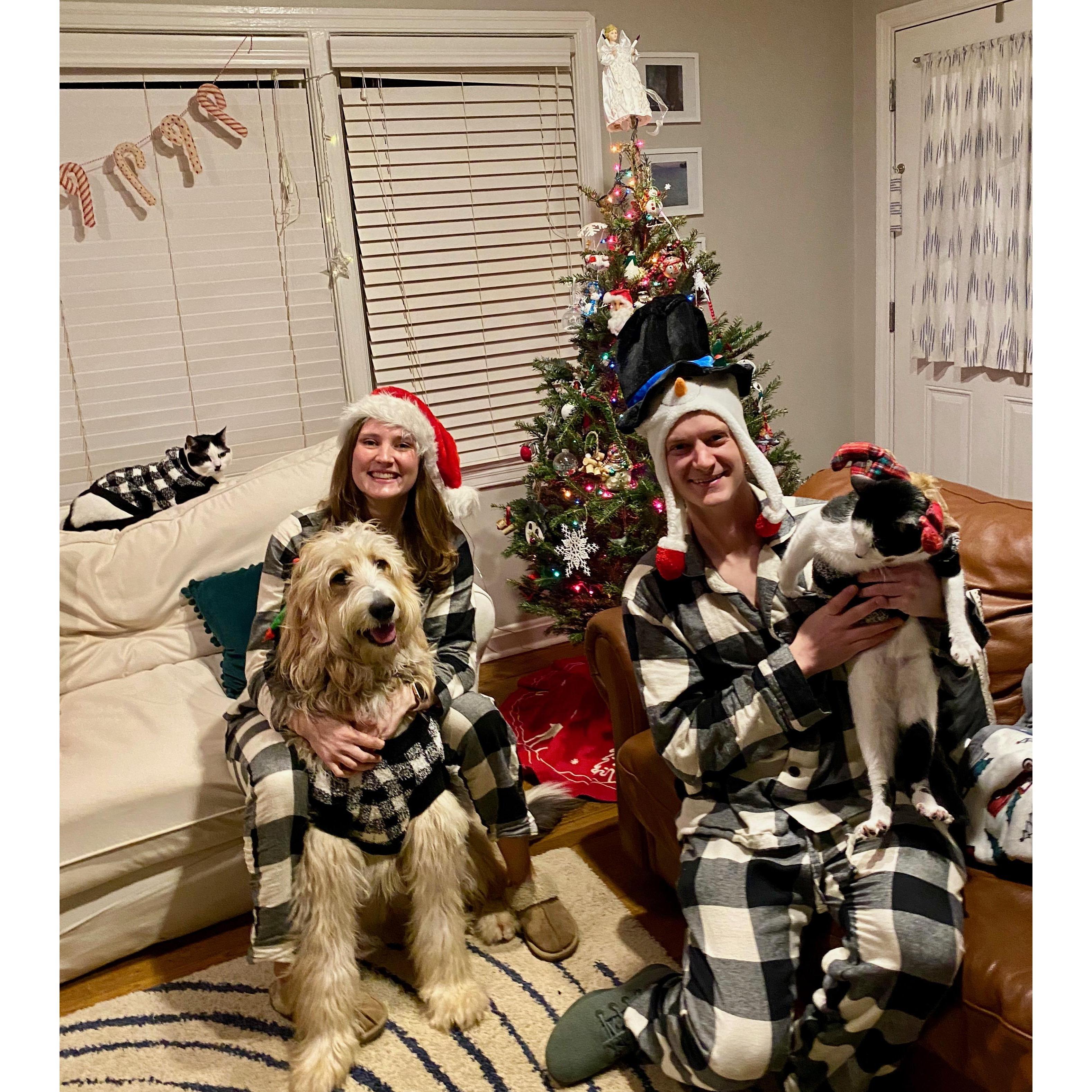 The once a year photo of the whole family