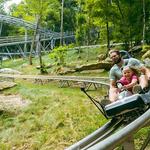 Wilderness Run Alpine Coaster