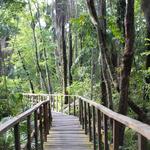 Lekki Conservation Centre
