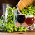 Vineyards & Breweries