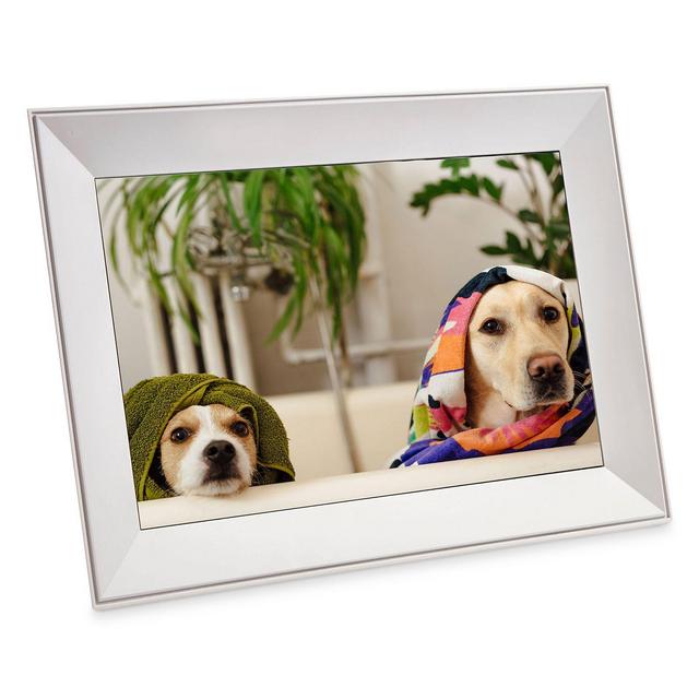 Aura Buddy Digital Picture Frame