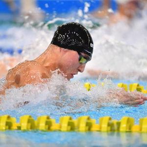 Nikola Swimming Career Fund