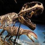 Denver Museum of Nature & Science