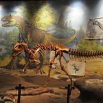 Dinosaur Museum