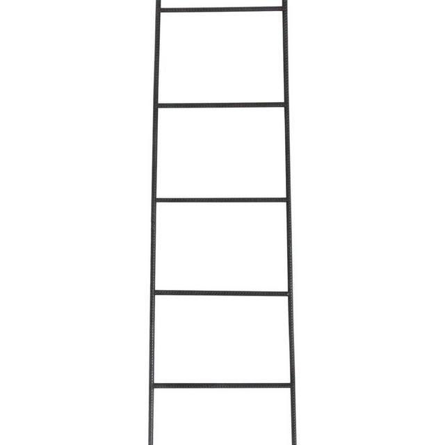 Iron Ladder