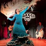 Flamenco Benalmadena