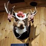 Nosh at Fryeburg Kitchen and Market