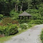 Laurelwood Arboretum