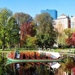 Boston Public Garden