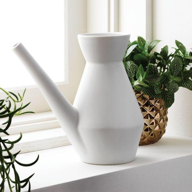 Saic Watering Carafe