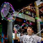 Montshire Museum of Science