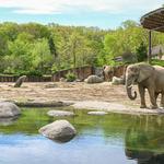Cleveland Metroparks Zoo