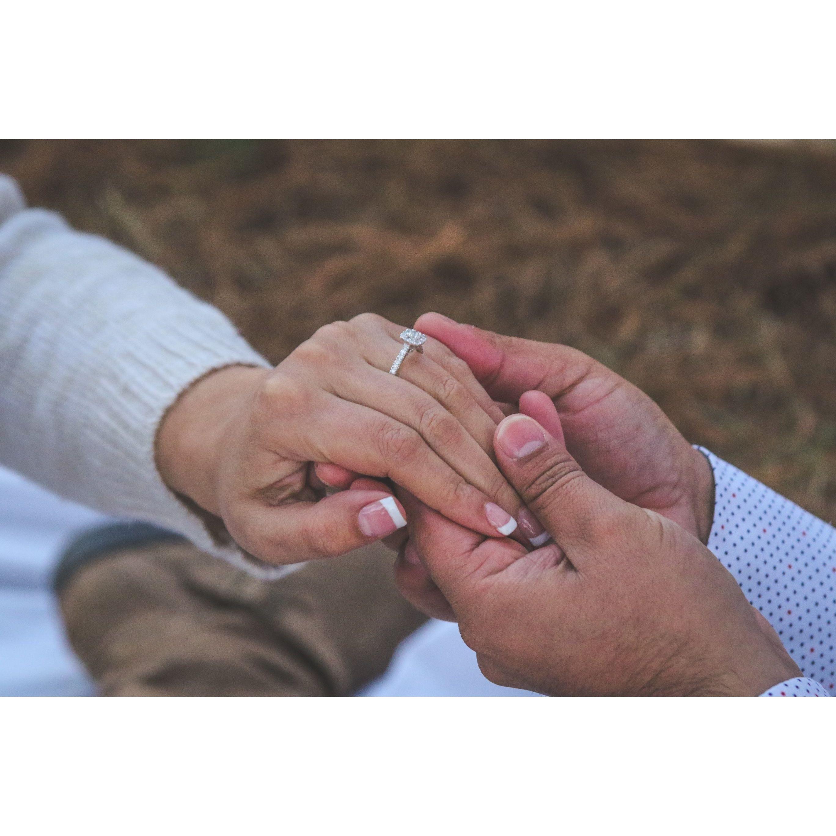 Blessed is she who has believed that the Lord would fulfill his promises to her. -Luke 1:45