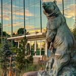 Denver Museum of Nature & Science