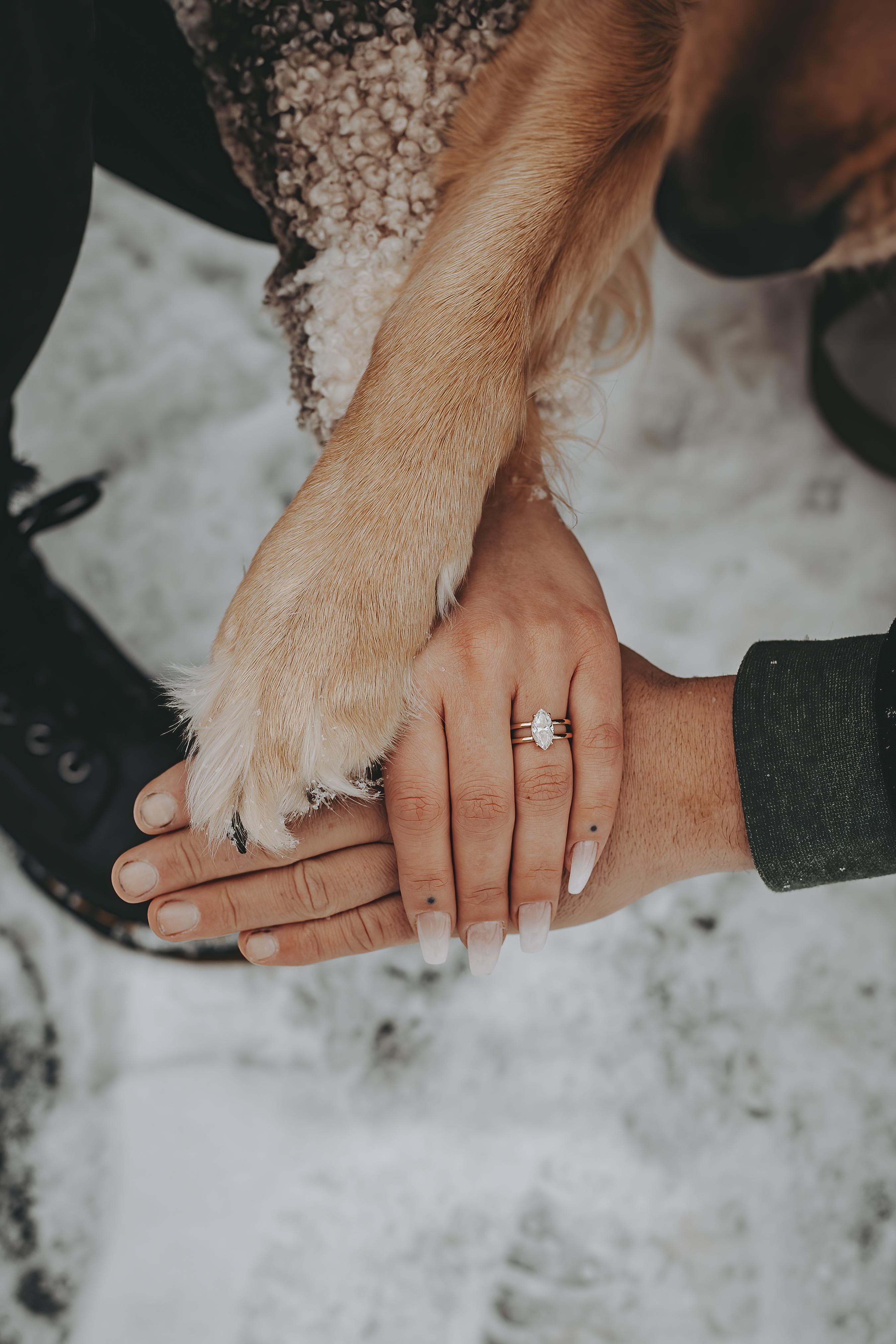The Wedding Website of Kimberly Huven and Brian Zurowski