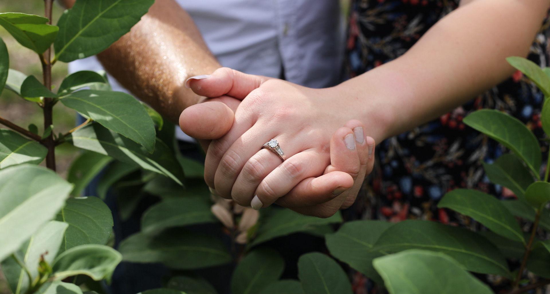 The Wedding Website of Lexi Dziedzic and Will Erwin